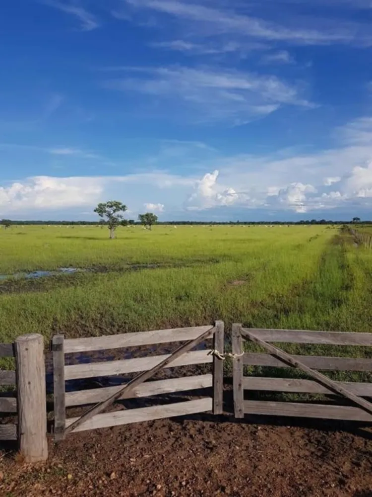 Fazenda, 7842 hectares - Foto 12