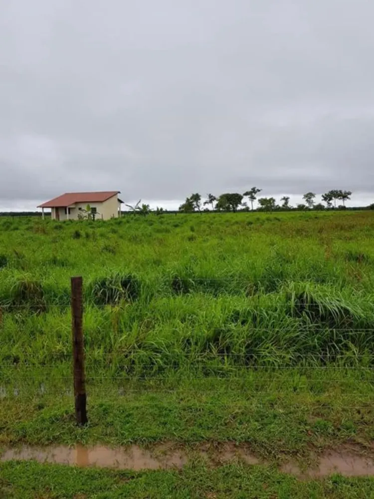 Fazenda, 7842 hectares - Foto 7