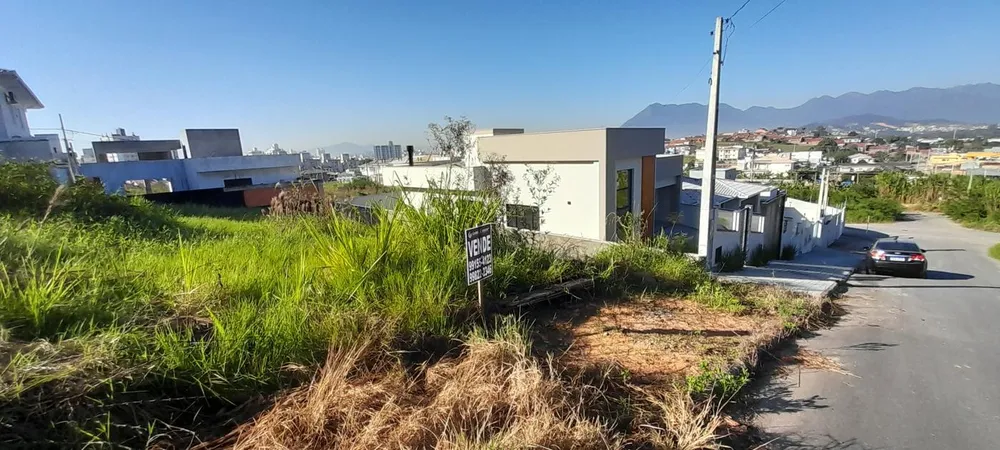 Terreno, 300 m² - Foto 5