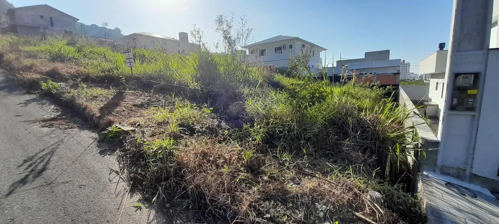 Terreno, 300 m² - Foto 8