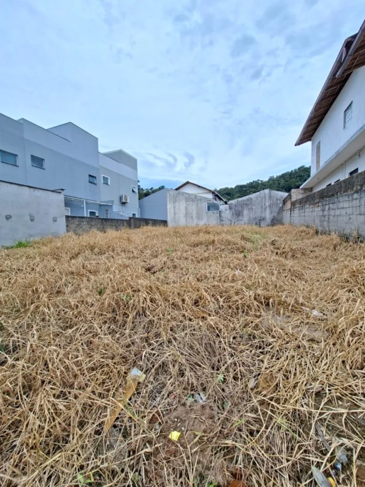 Terreno, 257 m² - Foto 3