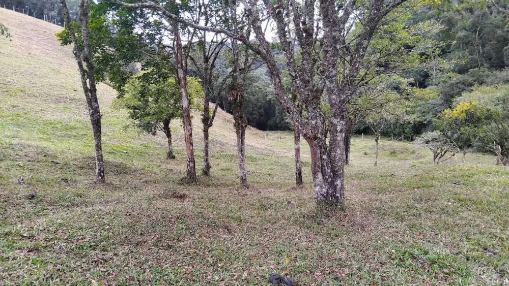 Sítio, 7 m² - Foto 10