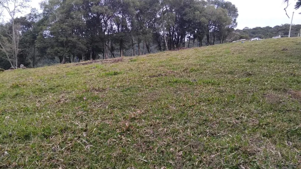 Sítio, 7 m² - Foto 6