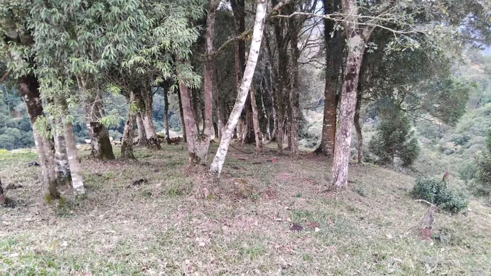 Sítio, 7 m² - Foto 9