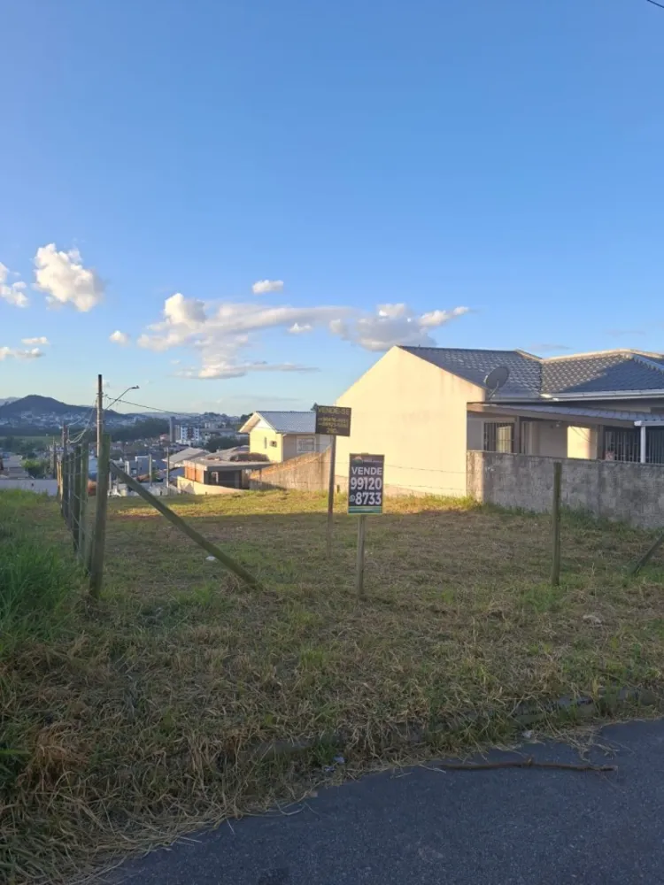 Terreno, 290 m² - Foto 4
