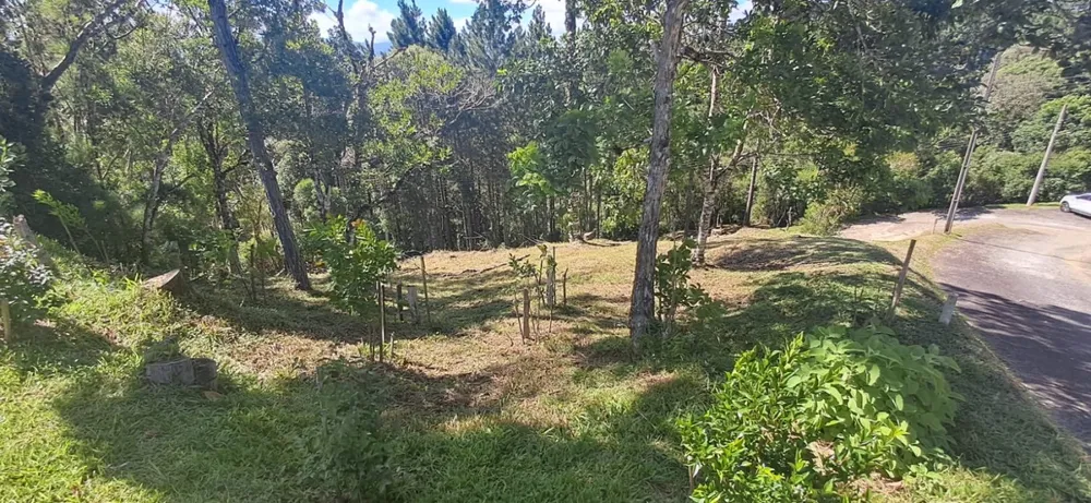 Terreno, 813 m² - Foto 11
