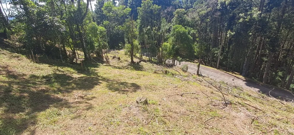 Terreno, 813 m² - Foto 7