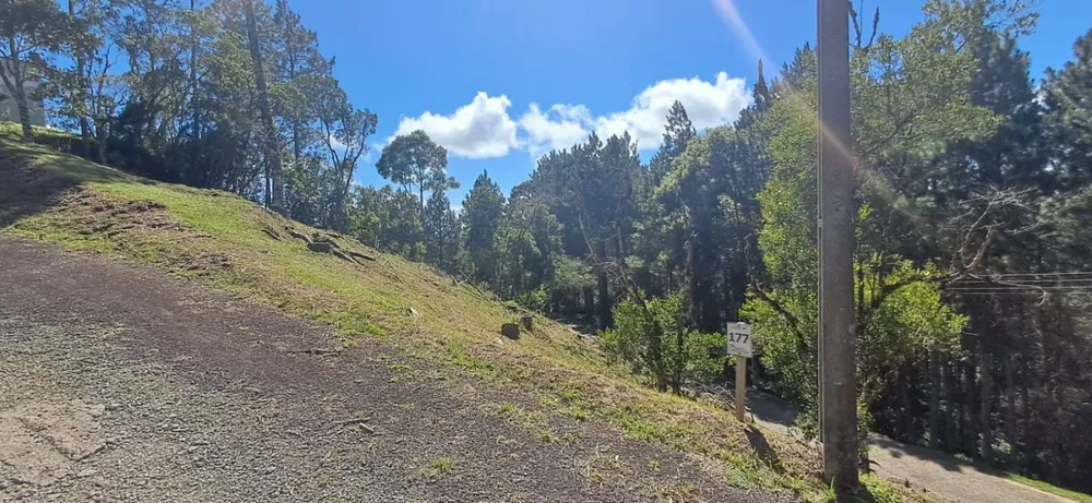 Terreno, 813 m² - Foto 5