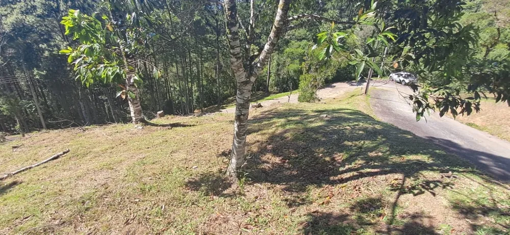 Terreno, 813 m² - Foto 10