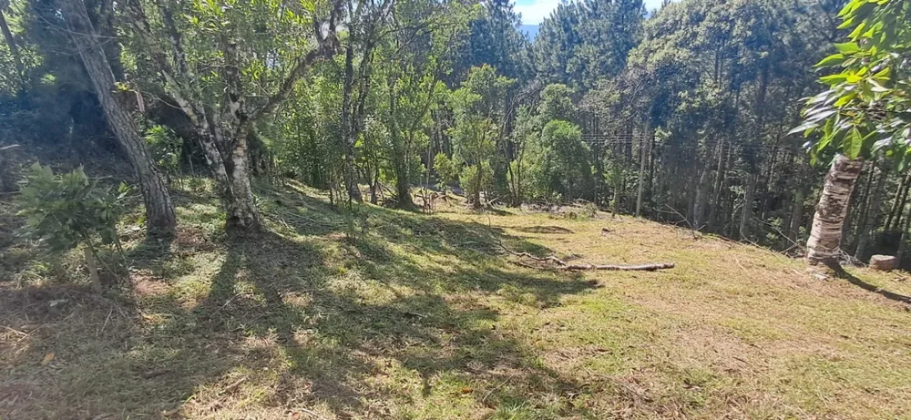 Terreno, 813 m² - Foto 1