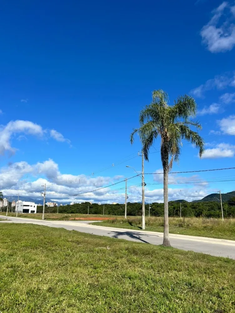 Terreno, 750 m² - Foto 6