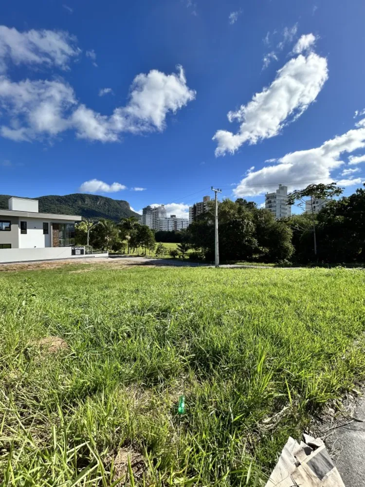 Terreno, 543 m² - Foto 5