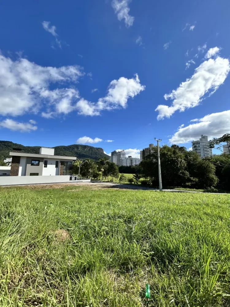 Terreno, 543 m² - Foto 3