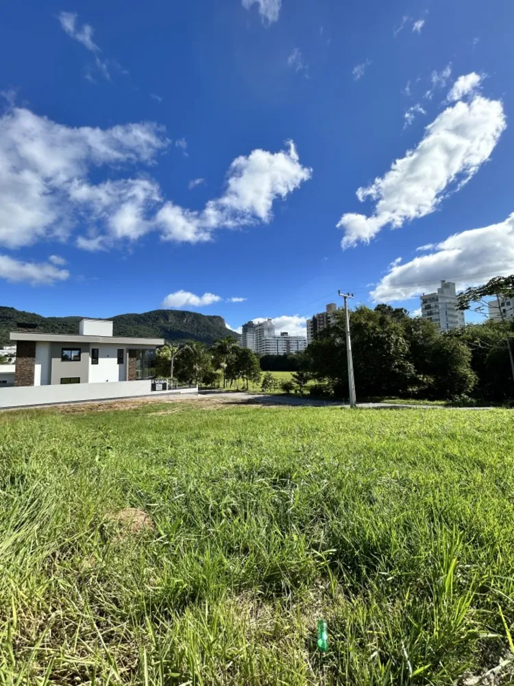 Terreno, 543 m² - Foto 4