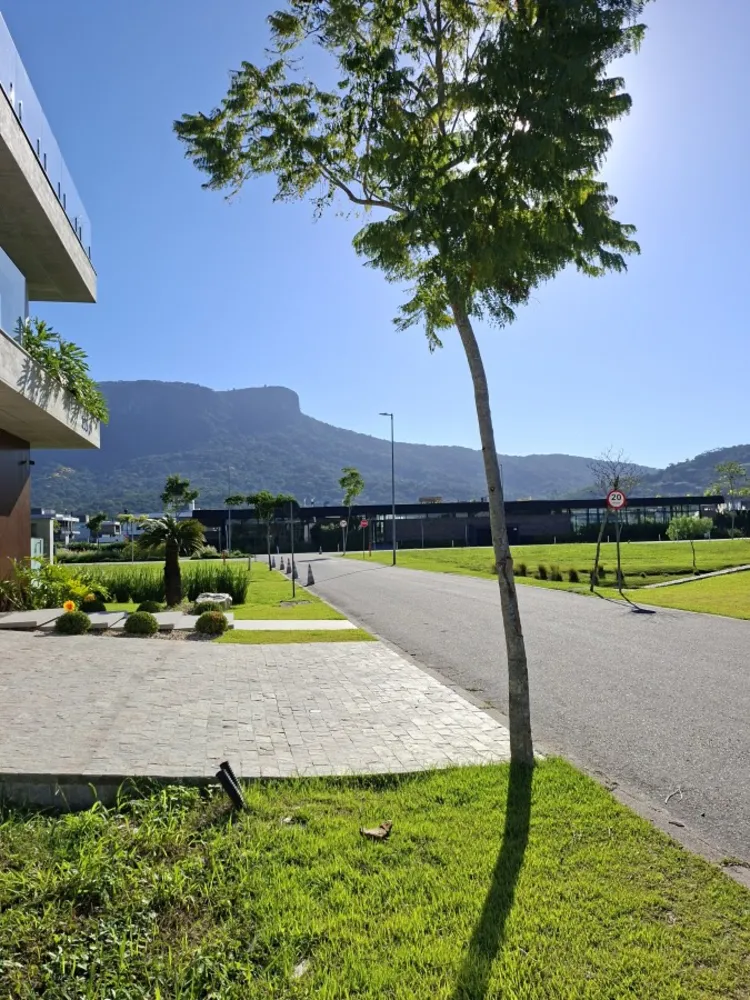 Terreno, 300 m² - Foto 2