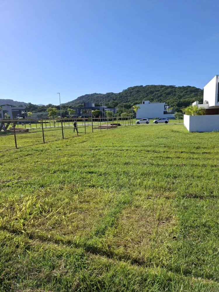 Terreno, 300 m² - Foto 12