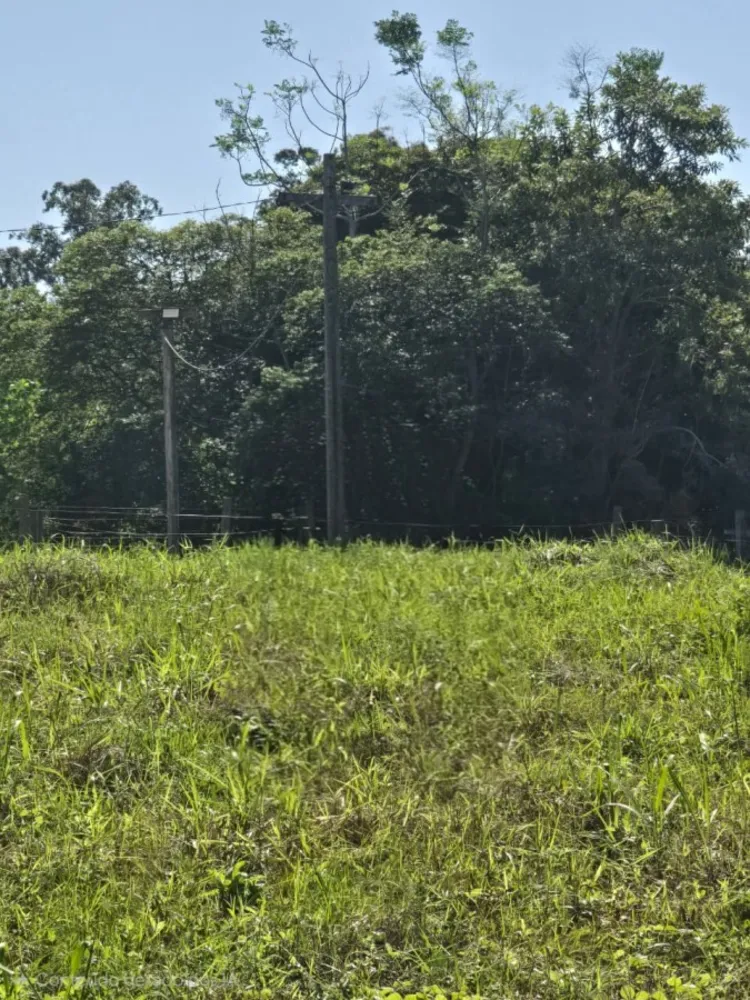 Terreno, 250 m² - Foto 5