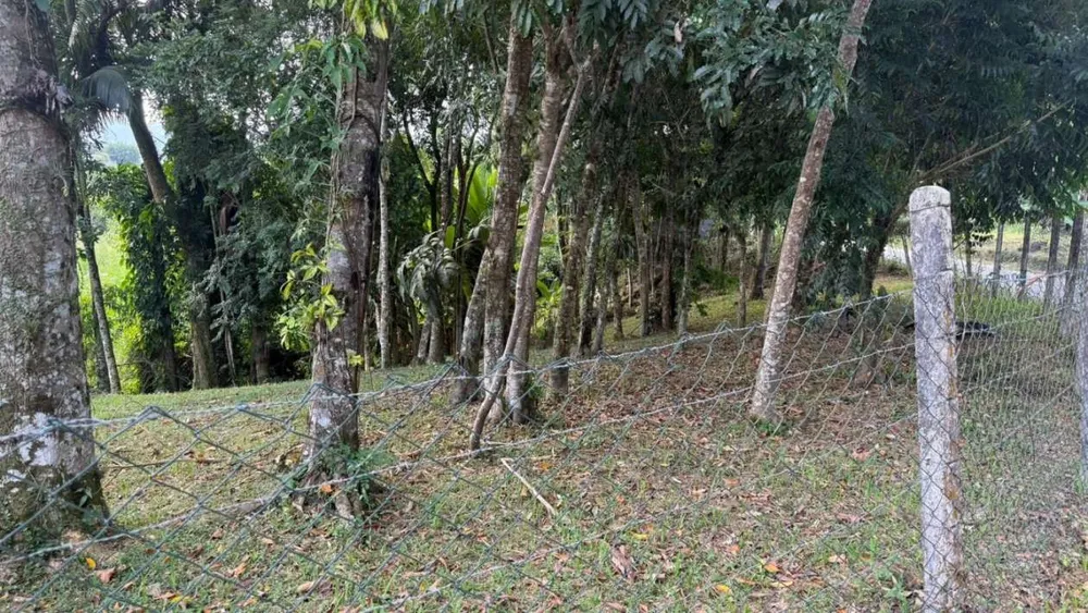 Sítio, 2 quartos, 105 m² - Foto 4