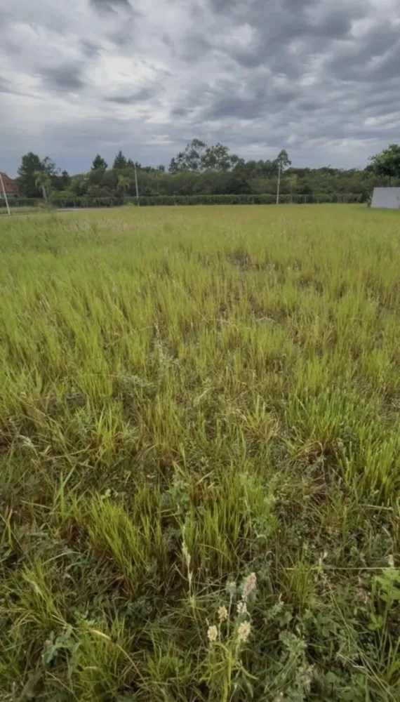 Terreno, 480 m² - Foto 3