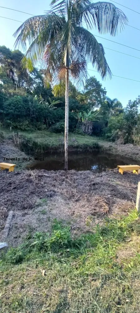 Chácara, 5 quartos, 2500 m² - Foto 14