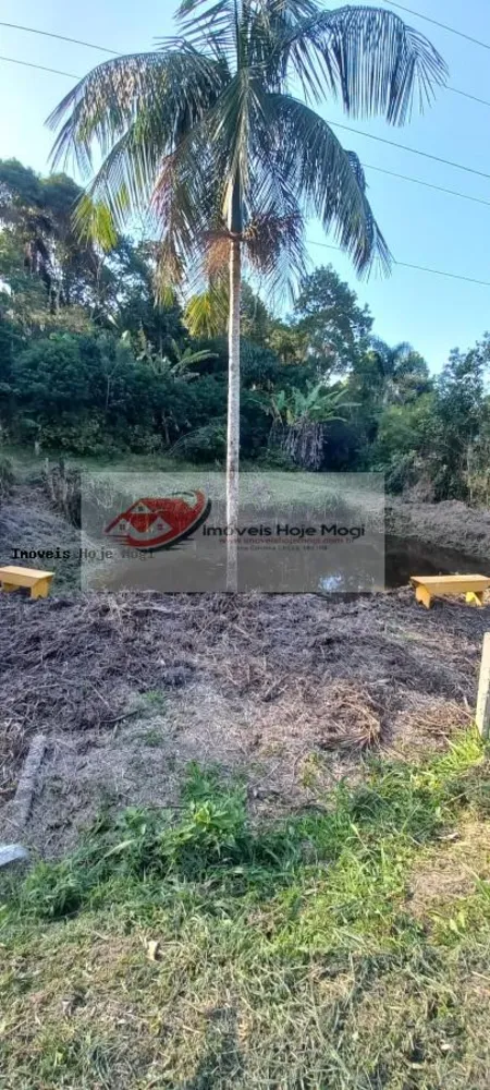 Chácara, 5 quartos, 2500 m² - Foto 6