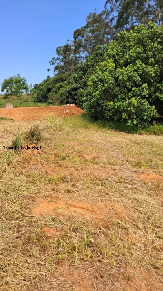 Terreno, 3000 m² - Foto 3