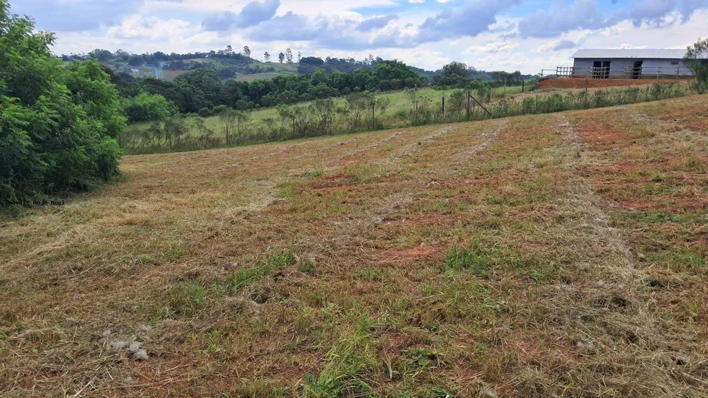 Terreno, 3000 m² - Foto 4