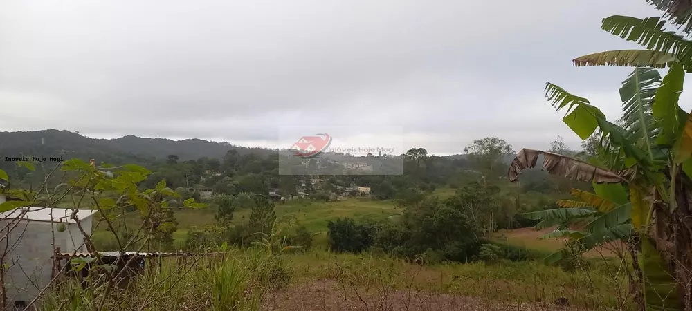 Chácara, 3 quartos, 10000 m² - Foto 4