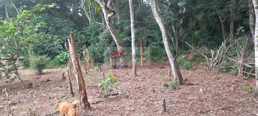 Chácara, 3 quartos, 10000 m² - Foto 13