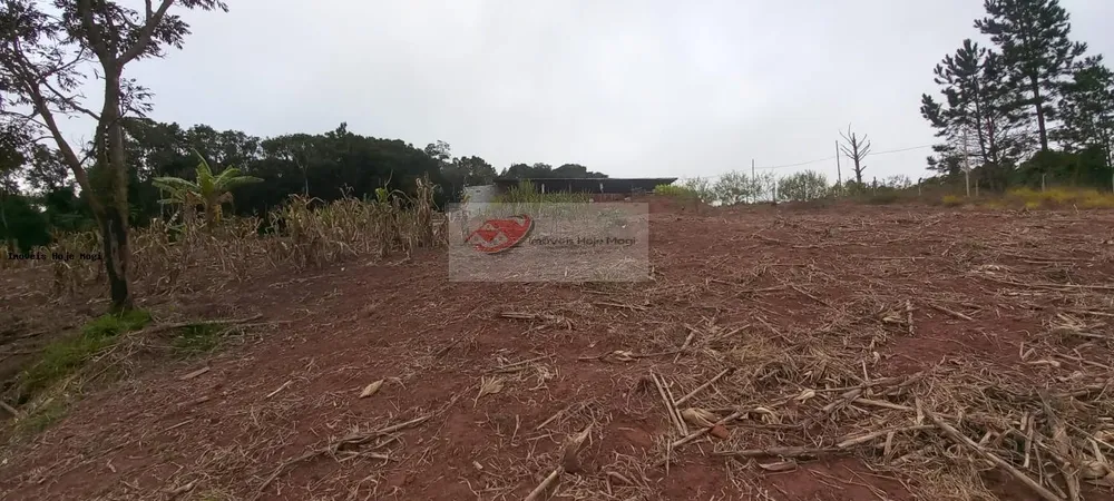 Chácara, 3 quartos, 10000 m² - Foto 2