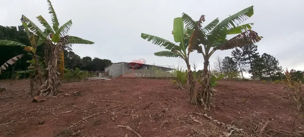 Chácara, 3 quartos, 10000 m² - Foto 1