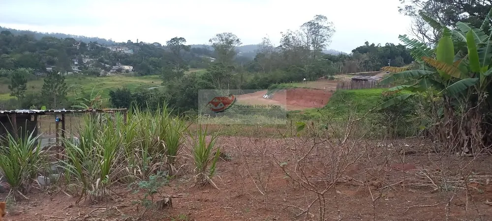 Chácara, 3 quartos, 10000 m² - Foto 16