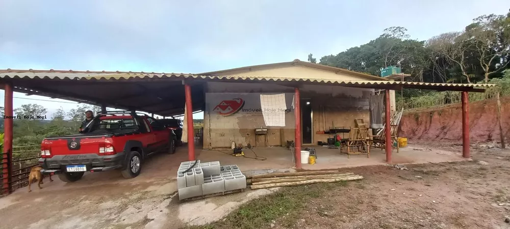 Chácara, 3 quartos, 10000 m² - Foto 2