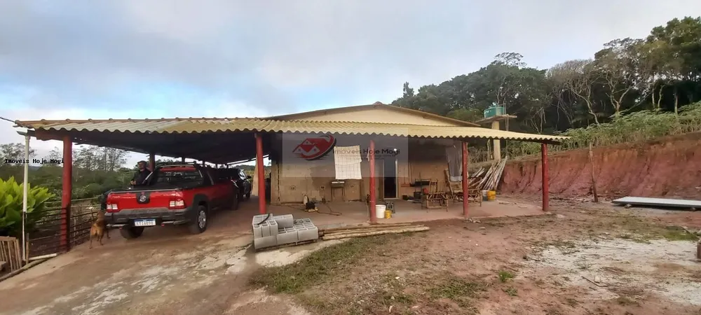 Chácara, 3 quartos, 10000 m² - Foto 9