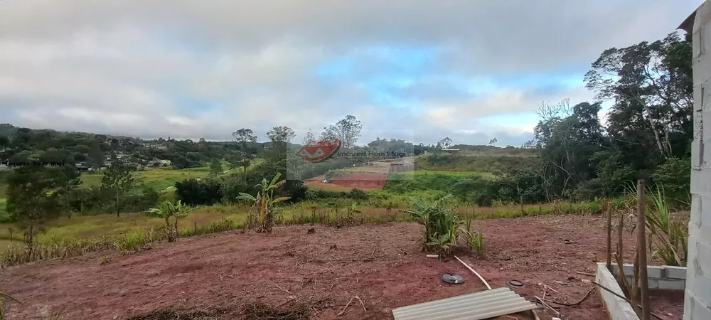 Chácara, 3 quartos, 10000 m² - Foto 1