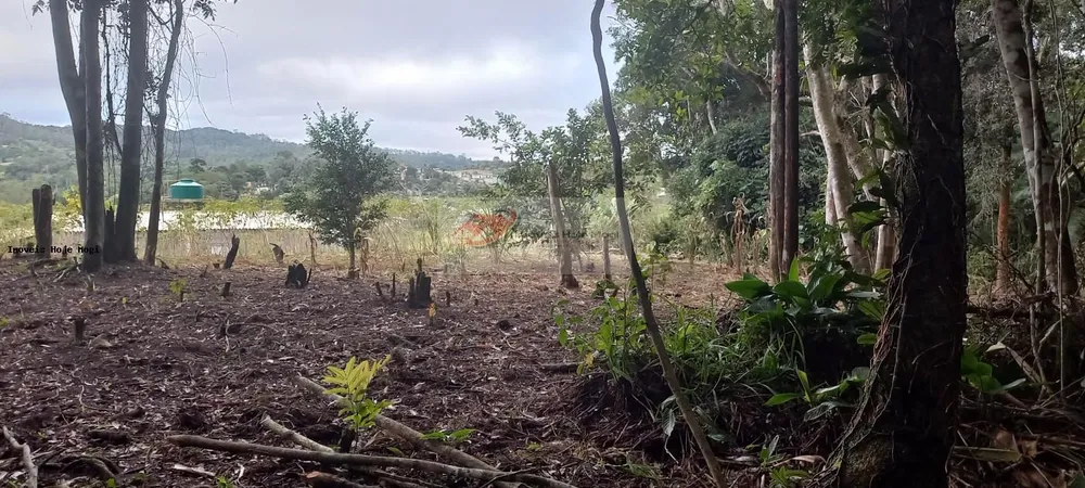 Chácara, 3 quartos, 10000 m² - Foto 11