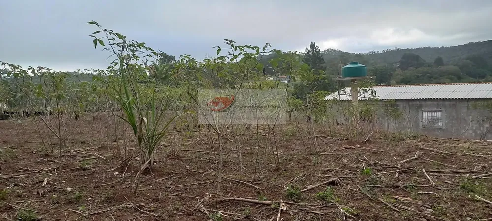 Chácara, 3 quartos, 10000 m² - Foto 14