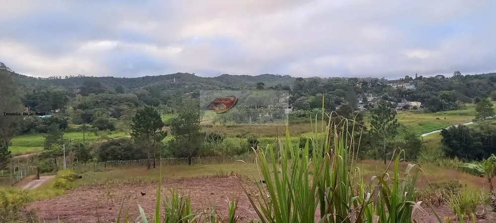 Chácara, 3 quartos, 10000 m² - Foto 7