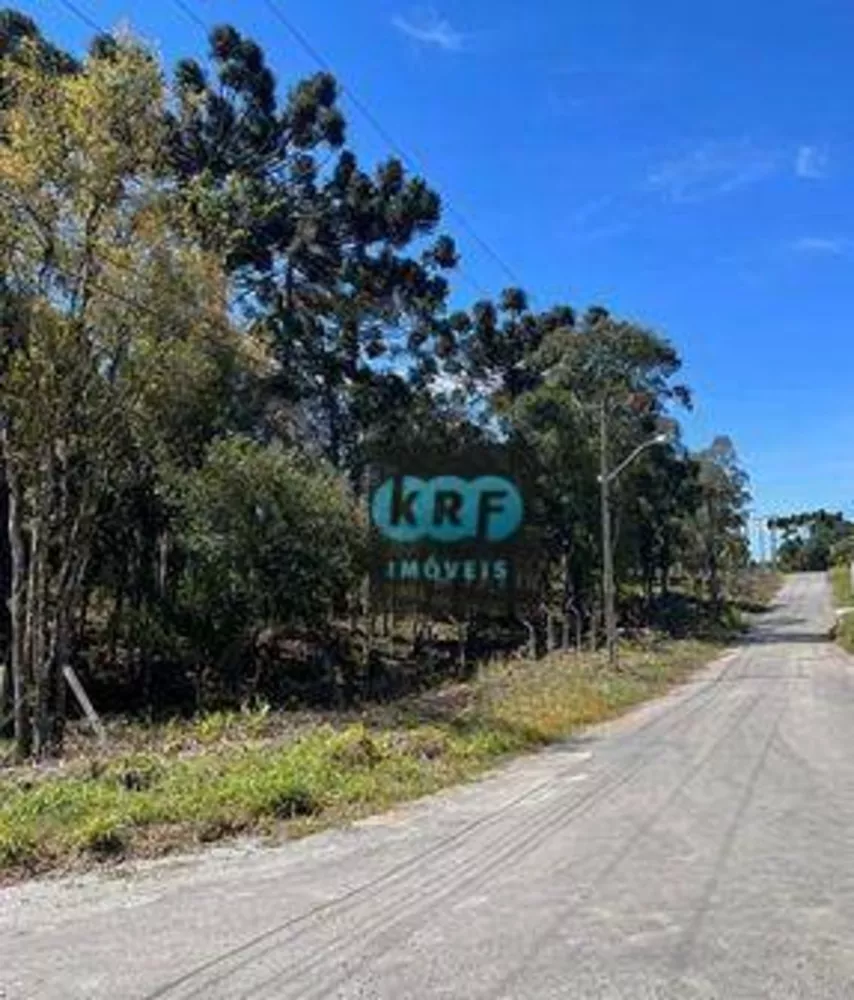 Terreno, 8260 m² - Foto 6