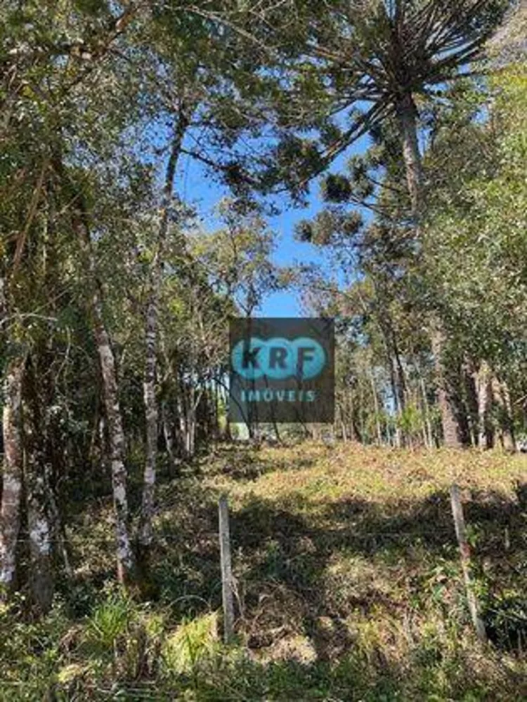 Terreno, 8260 m² - Foto 7