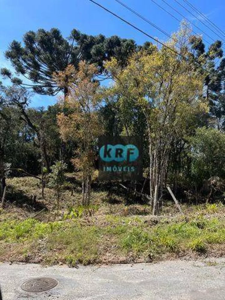 Terreno, 8260 m² - Foto 8