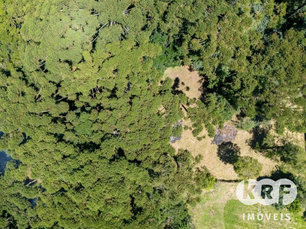 Terreno, 2000 m² - Foto 6