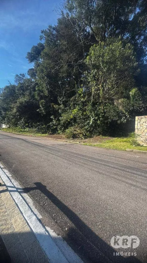 Terreno, 3028 m² - Foto 3