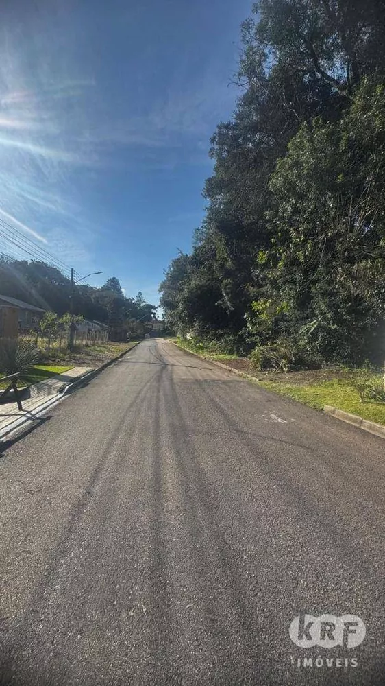 Terreno, 3028 m² - Foto 2