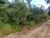 Chácara, 2 hectares - Foto 1