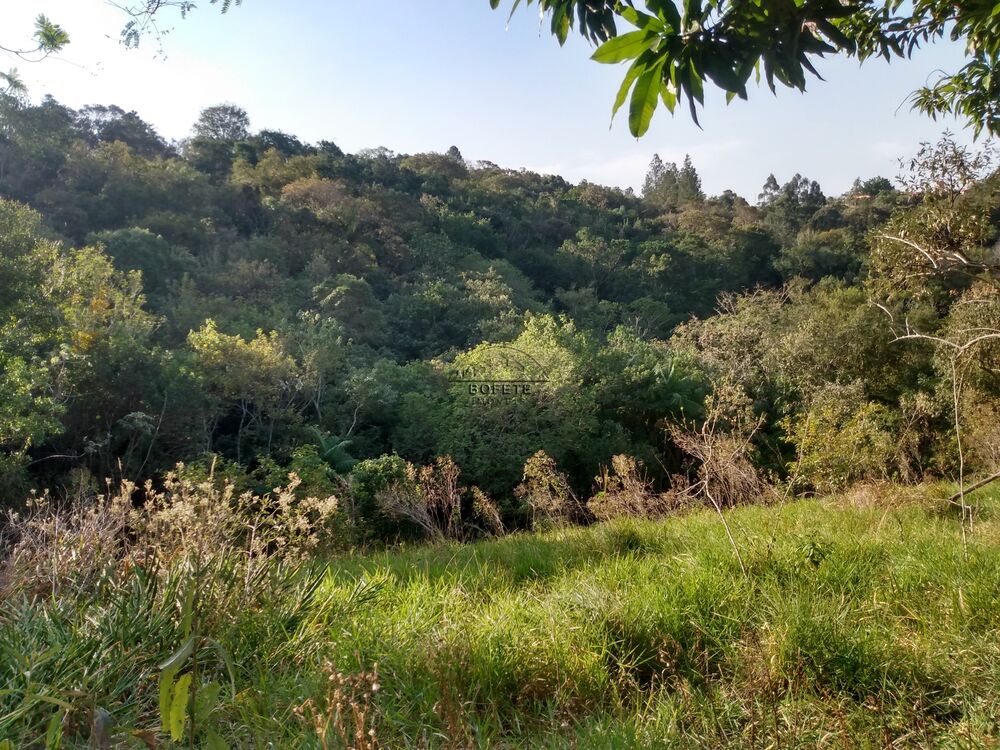 Chácara à venda com 3 quartos, 20000m² - Foto 8