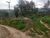Chácara, 2 hectares - Foto 2