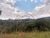 Chácara, 2 hectares - Foto 4