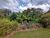 Sítio, 3 quartos, 3 hectares - Foto 4