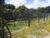 Chácara, 2 quartos, 2 hectares - Foto 3
